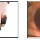 여주사랑약국 이미지