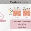 라이프에볼루션