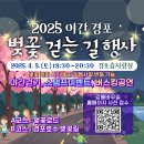 232-운정3-232 | [강릉] 솔올블라썸 축제 1일차 후기, 2025 야간 경포 벚꽃 걷는 길 행사 안내