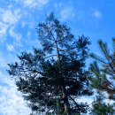 수락산 만남의광장 이미지