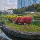 바이오모텔 이미지