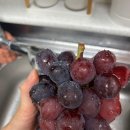 주니농장 이미지