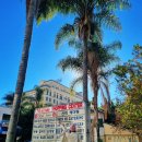 감자골감자탕 | 로스앤젤레스 여행 LA 코리아타운 맛집 감자골 감자탕