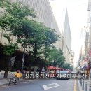 샤롯데공인중개사사무소 이미지