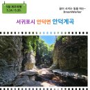 안덕면 신항동(조각공원 맞은편) | 서귀포시 안덕면 안덕계곡