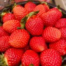 반갑습니다 “다온나” 정관점 입니다😁 1월 10일 야채 과일 입니다🍓 이미지