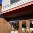 개냥이 | 카페 봉리단길 신상 고양이 카페 브리티쉬숏헤어 골드 개냥이 카페 보보네코카페 내돈내산 방문 후기