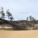 산법리 | [공지] [골프] 군위 칼레이트CC 방문후기