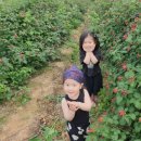 농업회사법인 유한회사 우리농장 이미지