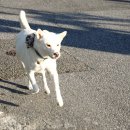 길순농장 이미지