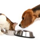 광주약국 이미지