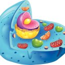 팀하트의원 이미지