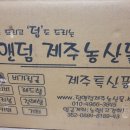덤앤덤 Daum카페