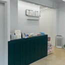 대구 고양이 미용 밀꼬냥 이미지