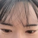 브로우달리 | 광주속눈썹 상무지구 속눈썹펍 잘하는 곳 [브로우너프] 후기