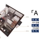 엘본 더 스테이 이미지
