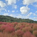 비워진 마음을 사랑으로 채우는 덕목은 이미지