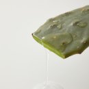 자연보검 이미지