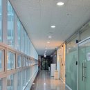 요기서하자뷰티샵 | ​김포 구래동 왁싱 <엔뷰티왁싱> 임산부왁싱 인생 첫 브라질리언 왁싱 솔직후기