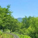 알짜천국 이미지