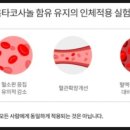 지니랩스 이미지