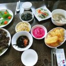 시골낙지 이미지