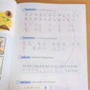 예쁜 손글씨 | 어휘력+예쁜 손글씨 둘 다 잡은 <바빠 초등 속담+따라 쓰기> 완북 솔직 후기! 📝✨