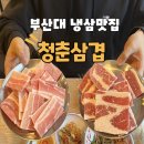 용삼겹 | 부산대 모임, 회식하기 좋은 냉삼고기 맛집 [청춘삼겹]