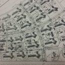 주정차단속-022 Daum카페