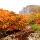 제108차 정기산행 금성산성,산성산,강천산(584m) 이미지