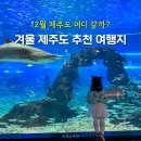 크라우드PC 제주표선점 | 12월 제주여행 어디갈까? 겨울 제주도 추천 여행지
