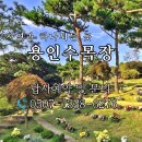 경안천로 258번길 이미지