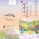 [블랙야크100대 2024년 7월 28일 일요일] 강원도 고한 함백산 야생화 축제에 당신을 초대합니다 이미지