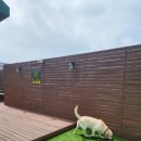 수려하개 이미지