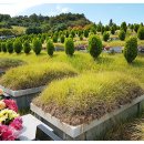 강원장의사 이미지