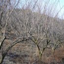 구구농장 이미지