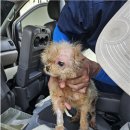 유성동양경매장 이미지