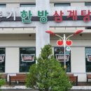 풍기한방삼계탕 이미지