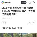 DMZ 폭발 현장 인근서 또 북한군 플라스틱 반보병지뢰 발견···강신철 “정전협정 위반” 이미지
