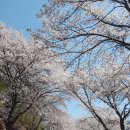 장계면사무소 이미지