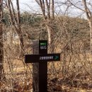 DMZ 평화의 길 4-1코스(지선코스) 이미지