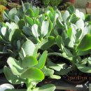 화월농장 이미지