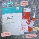 하울 | 강아지 외이염 치료제 하울릭 포비겔 귓병 관리 후기
