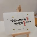 뮬란캘리