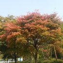 진철농장 이미지