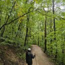 두타타타타산 🦖🦖⛰️ 이미지