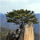 [충북제천 동산&작은동산] 매년 금수산산악마라톤대회가 열리는산 동산&작은동산으로의 시산제산행.