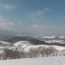 한들목장 이미지