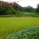 궁촌2리 경로당 이미지