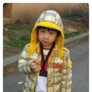 제일경희태권도 이미지